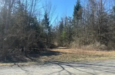 Timberline Estates Land