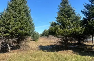 Hill Rd #4 Ithaca, NY 14850